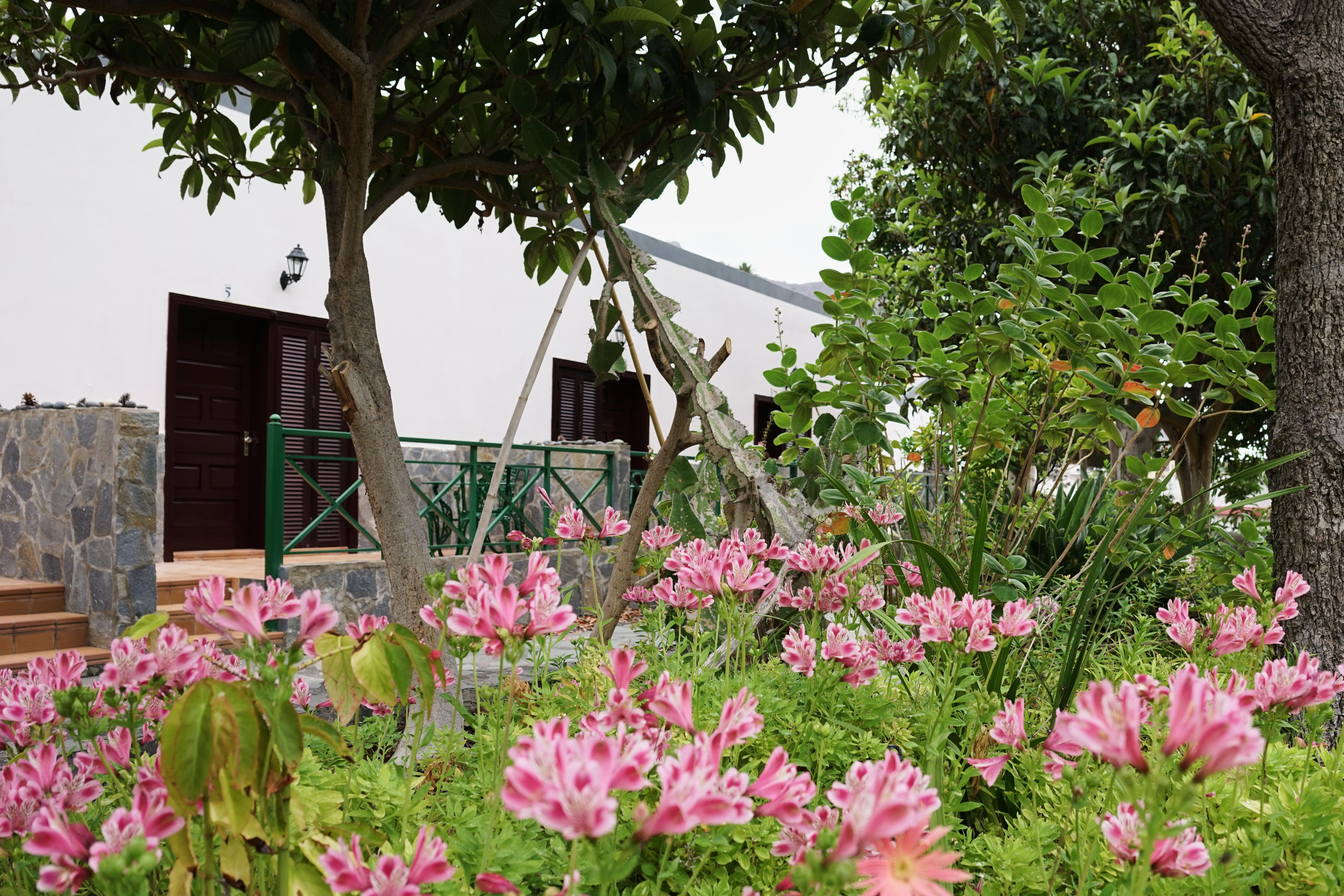 Finca Pinero Hermigua Exterior photo
