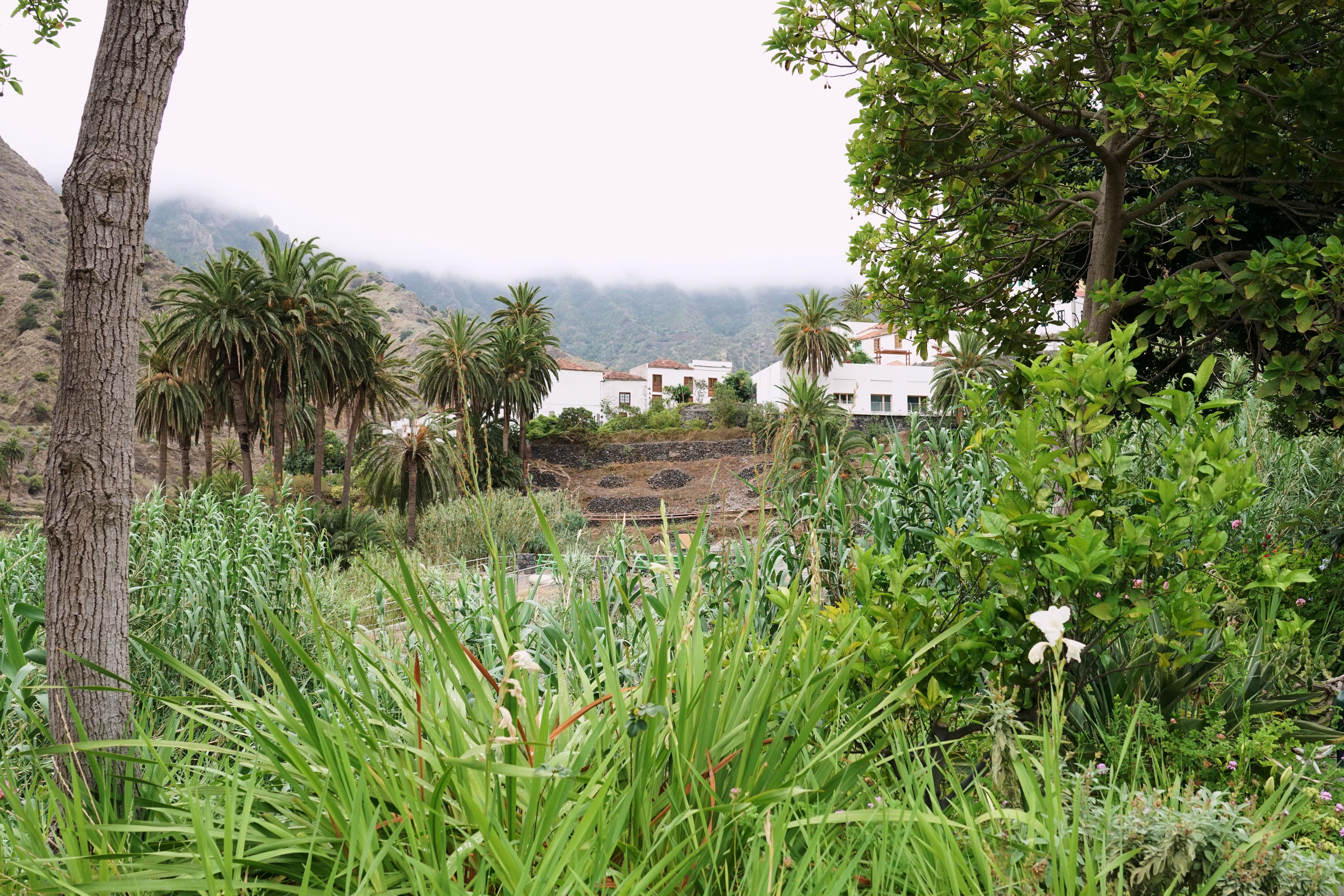 Finca Pinero Hermigua Exterior photo